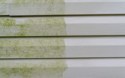 Is it Necessary to Clean the Exterior of My Home?