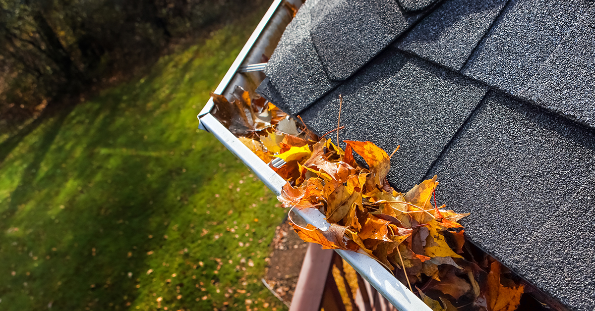 What are the Benefits of Adding Gutter Guards to Your Home?